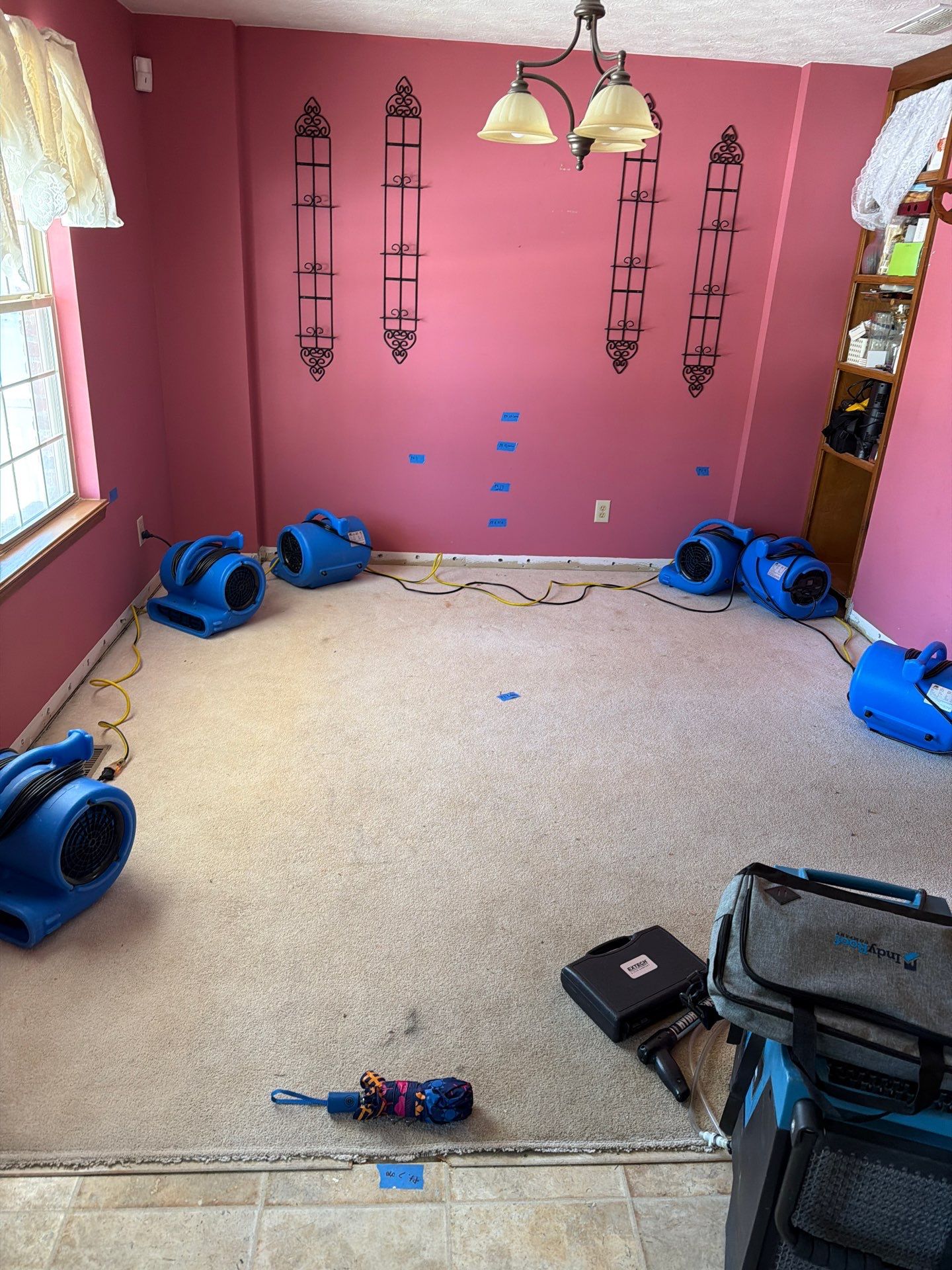 Burst Pipe Water Damage in Seymour: Steps and Repair Costs