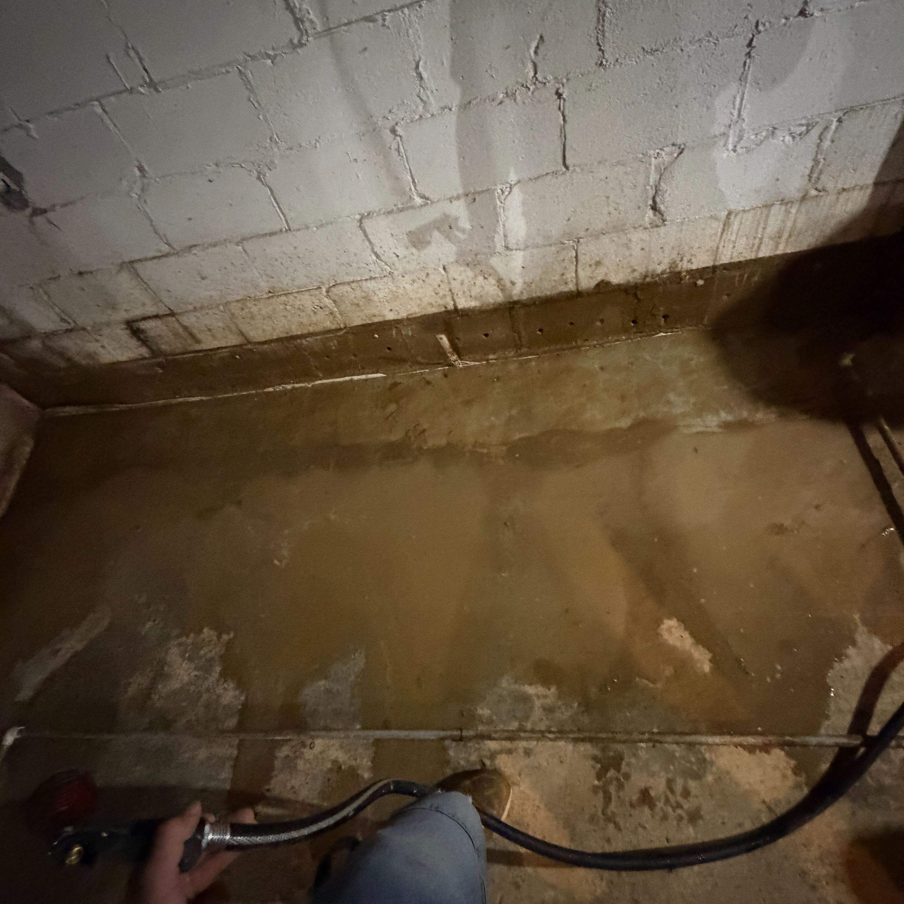 Water Damage vs Water Mitigation in Seymour: The Difference